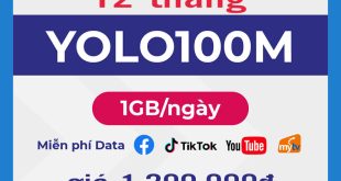 Đăng ký gói YOLO100M 12T Vinaphone miễn phí Data Tiktok, Youtube