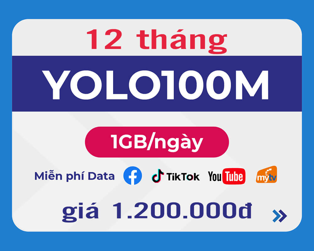 Đăng ký gói YOLO100M 12T Vinaphone miễn phí Data Tiktok, Youtube