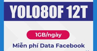 Đăng ký gói YOLO80F 12T Vinaphone 1GB/ngày & FREE data Facebook