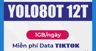 Đăng ký gói YOLO80T 12T Vinaphone 1GB/ngày & FREE data TikTok