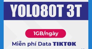 Đăng ký gói YOLO80T 3T Vinaphone 1GB/ngày & FREE data TikTok