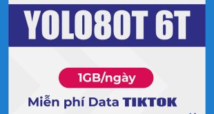 Đăng ký gói YOLO80T 6T Vinaphone 1GB/ngày & FREE data TikTok 6 tháng